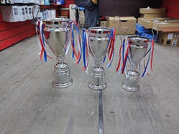 кубки: Кубок Лига Чемпионов!!! Железный А.(42см) - 2300 с В.(37см) - 2000 — 2