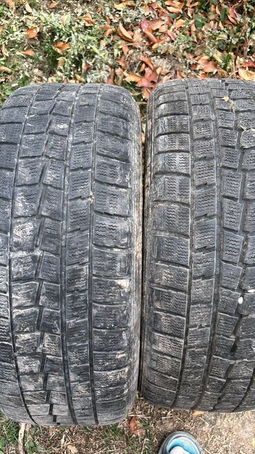 шины бишкек дордой цены: Шины R 17, Б/у, Dunlop