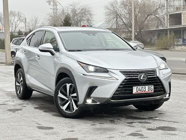 lexsus es: Lexus NX: 2019 г., 2 л, Автомат, Гибрид, Кроссовер