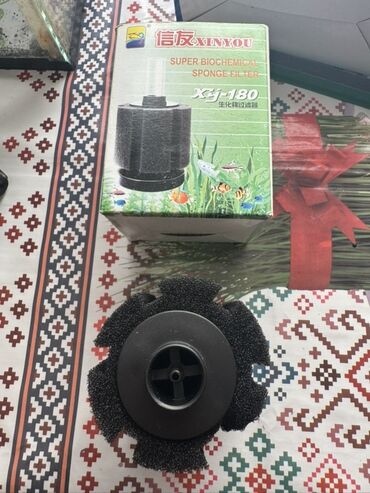 Akvariumlar: Akvaryum dəsti 1 akvaryum tezedi qalan herwey iwlenmiwdi ekseryeti az — 5