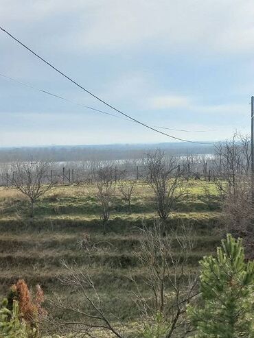 Prodaja zemljišta: 52 ares, Vlasnik — 1