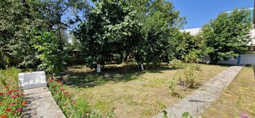 Torpaq sahələrinin satışı: 12 sot, Tikinti, Makler, Kupça (Çıxarış) — 15