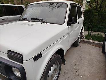 нива зеркало: ВАЗ (ЛАДА) 4x4 Нива: 2012 г., Внедорожник — 3