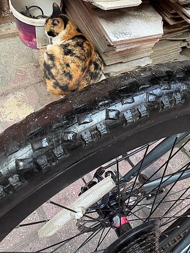 Şosse velosipedləri: BMX 29 Velosiped heç bir problemi yoxdur, əla veziyyətdədir, teze — 9