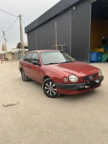 Toyota Corolla: 1997 г., 1.3 л, Механика, Бензин, Хэтчбэк