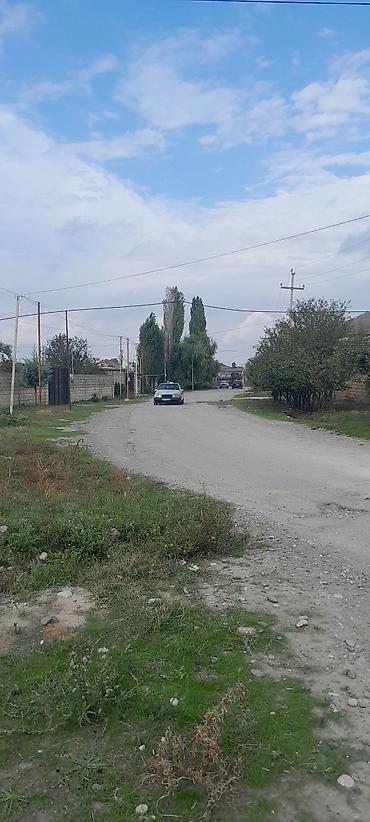 agac sekilleri: Kubiklər, Kredit yoxdur — 10