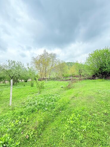 Torpaq sahələrinin satışı: 15 sot, Tikinti, Mülkiyyətçi, Kupça (Çıxarış) — 23