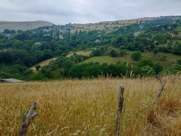 Bağ evlərinin satışı: Yardımlı, 120 kv. m, 4 otaqlı, Hovuzsuz, Qaz, İşıq -da lalafo.az — 10 Bağ evlərinin satışı: Yardımlı, 120 kv. m, 4 otaqlı, Hovuzsuz, Qaz, İşıq — 10