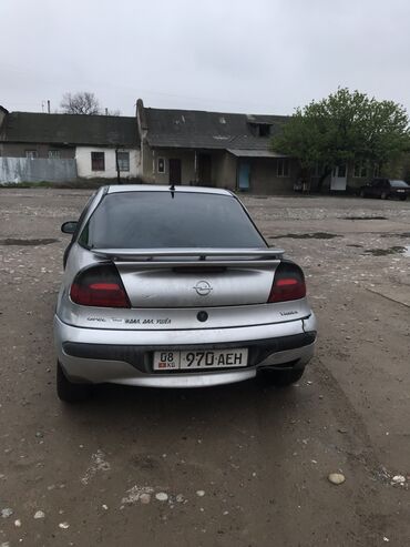 Opel: Opel Tigra: 2000 г., 1.4 л, Механика, Бензин, Универсал