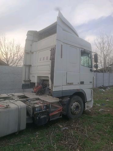 Тягачи: Тягач, DAF, 2008 г., Без прицепа — 5