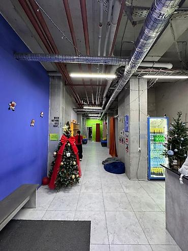 Продажа офисов: Продажа офисов 244 м², С ремонтом, Многоэтажное здание, Цокольный этаж этаж — 5