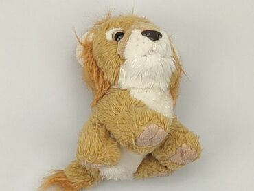trampki lacoste ziane plus grand: Mascot Dog, condition - Good