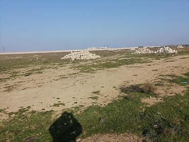 kend ehmedli: Tikinti, Mülkiyyətçi, Kupça (Çıxarış) — 7