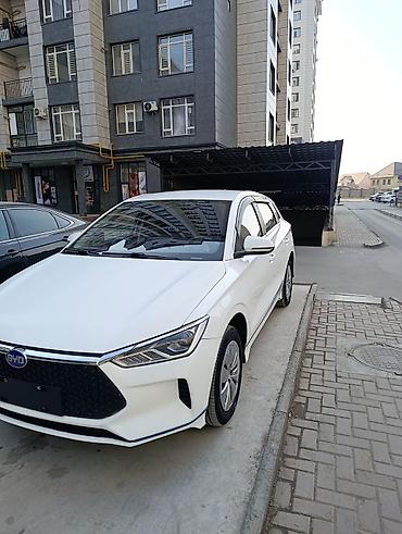 BYD: BYD E2: 2022 г., 0.1 л, Автомат, Электромобиль, Хэтчбэк — 3