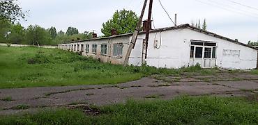Кыймылсыз мүлк: Мүйүздүү бодо мал фермасы, 75 соток, Канализация, Скважина — 2