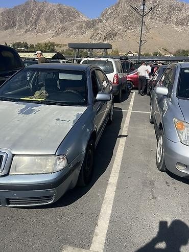 Skoda: Skoda Octavia: 2004 г., Седан — 3