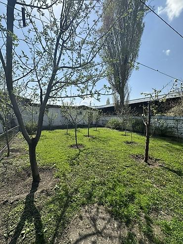 Продажа коттеджей и домов: 📍В Сокулуке в районе птицефабрики от трассы 500 м продается дом на — 5