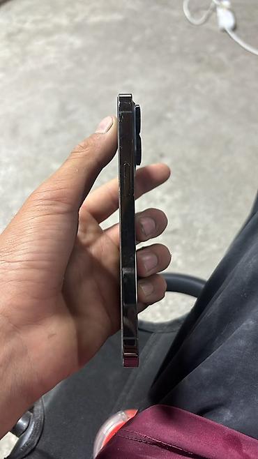 pc case: - Модель: iPhone 13 Pro - Память: 256 ГБ - Версия iOS: 26.5 - — 4