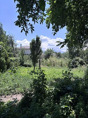 Жер тилкелери: 9 соток — 3