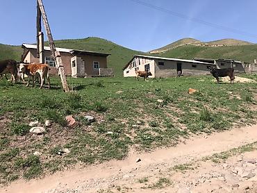 Кыймылсыз мүлк: Сдаю в аренду кошару сарай Чуйский район Чуйская область село Шамши — 2