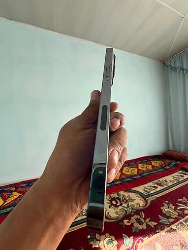 Apple iPhone: IPhone 13 Pro Max, Б/у, 128 ГБ, Sierra Blue, Чехол, 84 % — 3