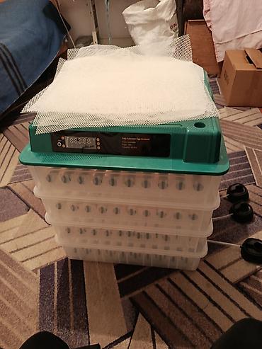 Инкубаторы: Полностью автоматический инкубатор для яиц с цифровым управлением — 1