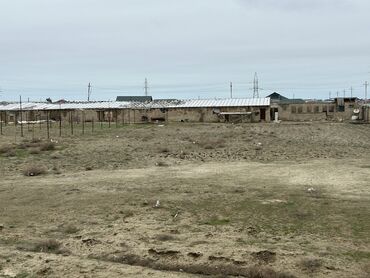 sabunçu rayonu: 115 sot, Kənd təsərrüfatı, Maklerlər narahat etməsin, Kupça (Çıxarış)