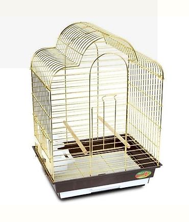 Digər quşlar: ✨ Hazır sarı e lquşlarıdanişdirmaq tam rahat olurr satışda! 🐦✨ Parlaq — 6