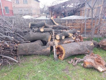 дрова в бишкеке: Дрова