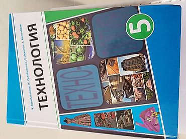 Набор учебников для 5 класса (Кыргызстан), на русском языке. Состав