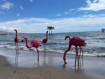 Иссык-Куль 2025: Коттедж, Палм Бич ЦО Palm Beach, Чок-Тал, Детская площадка, Теннисный корт, Барбекю — 20