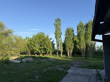 Продажа коттеджей и домов: Продаётся жилой дом. - Большой зелёный участок с деревьями и — 9