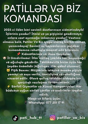 dogo argentino: Patillər və Biz – ev heyvanları üçün peşəkar gəzinti və baxım xidməti — 1