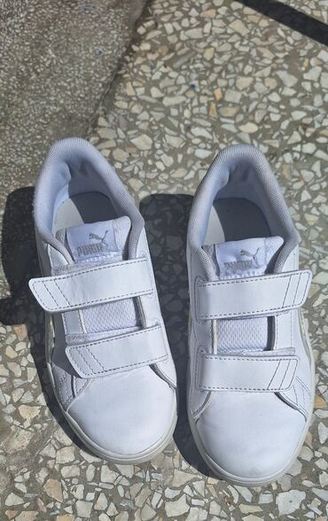 antilop obuca online: Puma, Size - 33