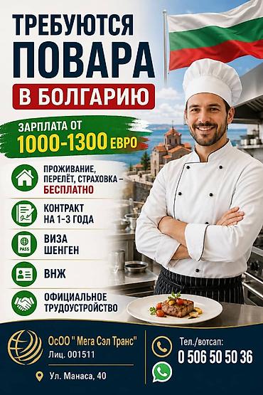 Унаа боёгучтар: Талап кылынат Унаа механиги Айлык, Расмий жумушка орноштуруу — 6