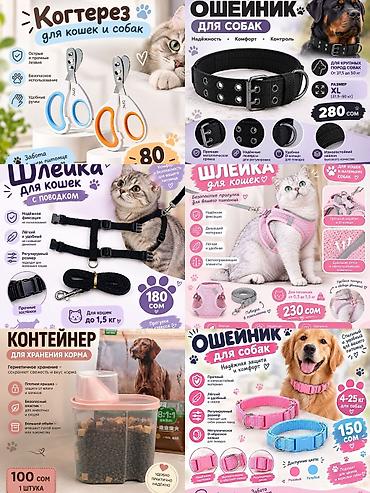 сурикат купить бишкек: 🐾 Мокрый нос — всё для любимых питомцев 🐱🐶 🥣 Миски и аксессуары 🧸 — 4