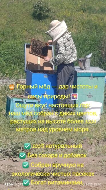 молоко домашнее: 1 кг горного мёда 500 сом