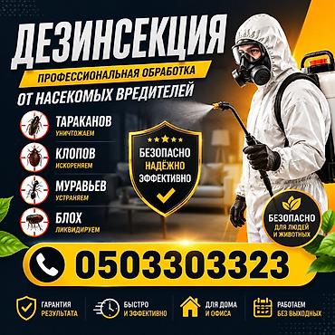 Дезинфекциялоо, дезинсекциялоо, | Канталалар, Бүргөлөр, Таракандар, | Офистер, Батирлер, Үйлөр