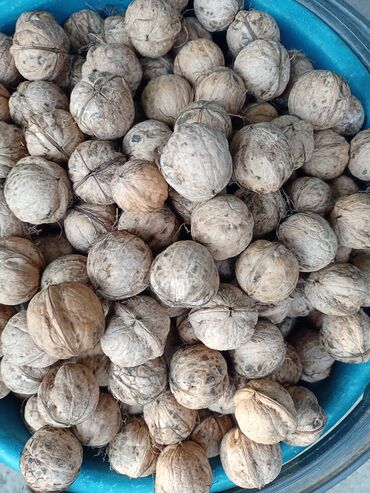 Сухофрукты, орехи, снеки: Продаю орехи Орехи грецкие продам есть 200 кг орех орехи доставка
