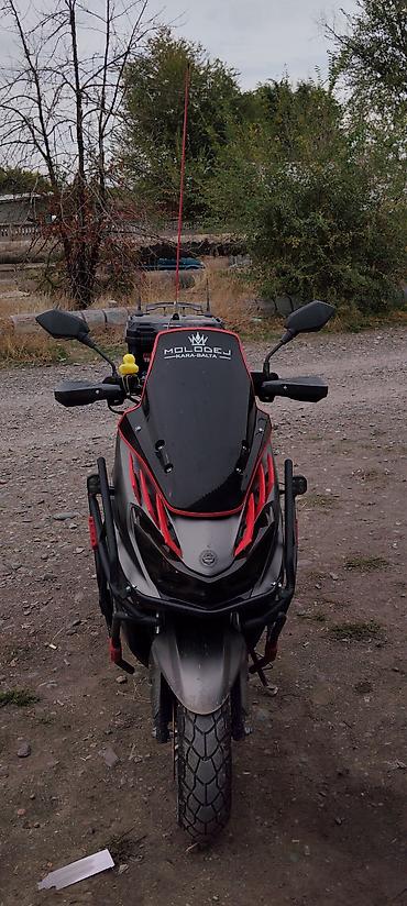 r15 at: ADV GTiger Maxi Документы все есть Перед зад Тайвань Без вложений — 10