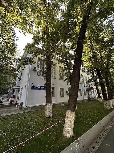 Побелка: Наружная побелка, Побелка потолков, Побелка стен | Известковая побелка, Мелковая побелка Больше 6 лет опыта at lalafo.kg — 63 Побелка: Наружная побелка, Побелка потолков, Побелка стен | Известковая побелка, Мелковая побелка Больше 6 лет опыта — 63