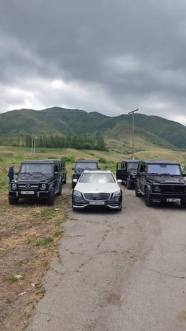Частная аренда авто: Свадебный кортеж, лексусы, Майбах, мерсы 222, мерсы 221, хаммеры — 7