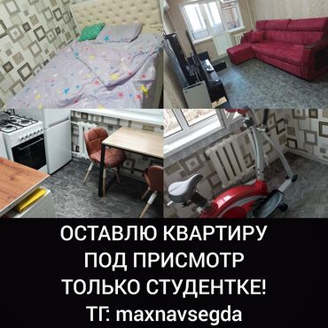 сдаю 1к квартиру: 2 бөлмө, Менчик ээси
