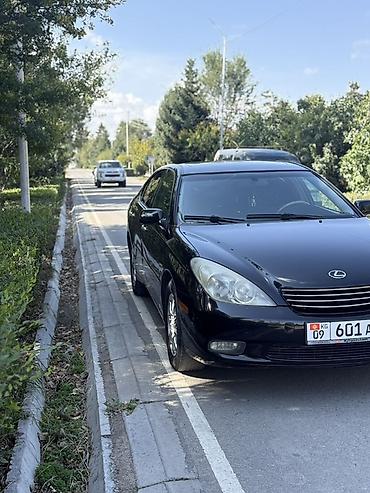 рх300 rx300: Lexus ES: 2003 г., 3 л, Автомат, Бензин, Седан — 3
