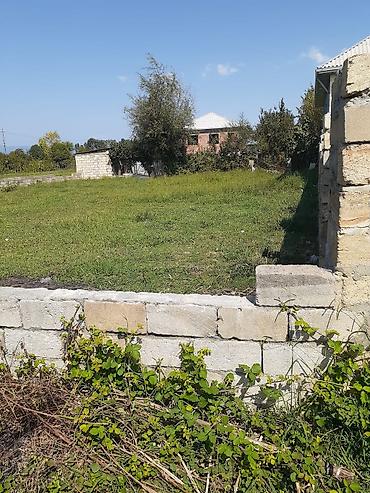balaxanida torpaq: 6 sot, Tikinti, Mülkiyyətçi, Kupça (Çıxarış) — 9