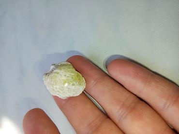 eboksit satilir: Bruccite mineralı limon sarısı Pakistandan — 6