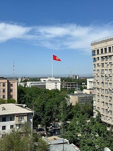 3 комнаты, Площадь Ала-Тоо Собственник, Без животных, от 6 месяцев, С мебелью полностью