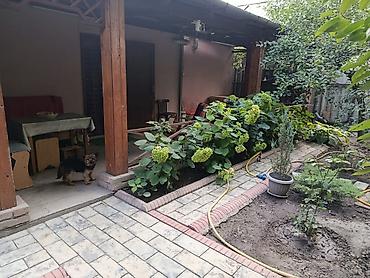 Продажа коттеджей и домов: 5 комнат, 76 м², 5 соток, Бишкек, Западный (новый) автовокзал Собственник — 16