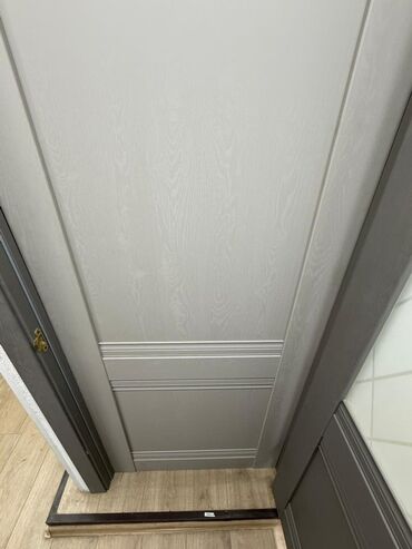 дверь внутренняя: Межкомнатная глухая дверь, Панельный, цвет - Серый