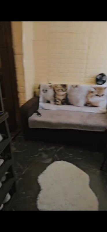 Qonaq otağı dəstləri: Divan -da lalafo.az — 9 Qonaq otağı dəstləri: Divan — 9